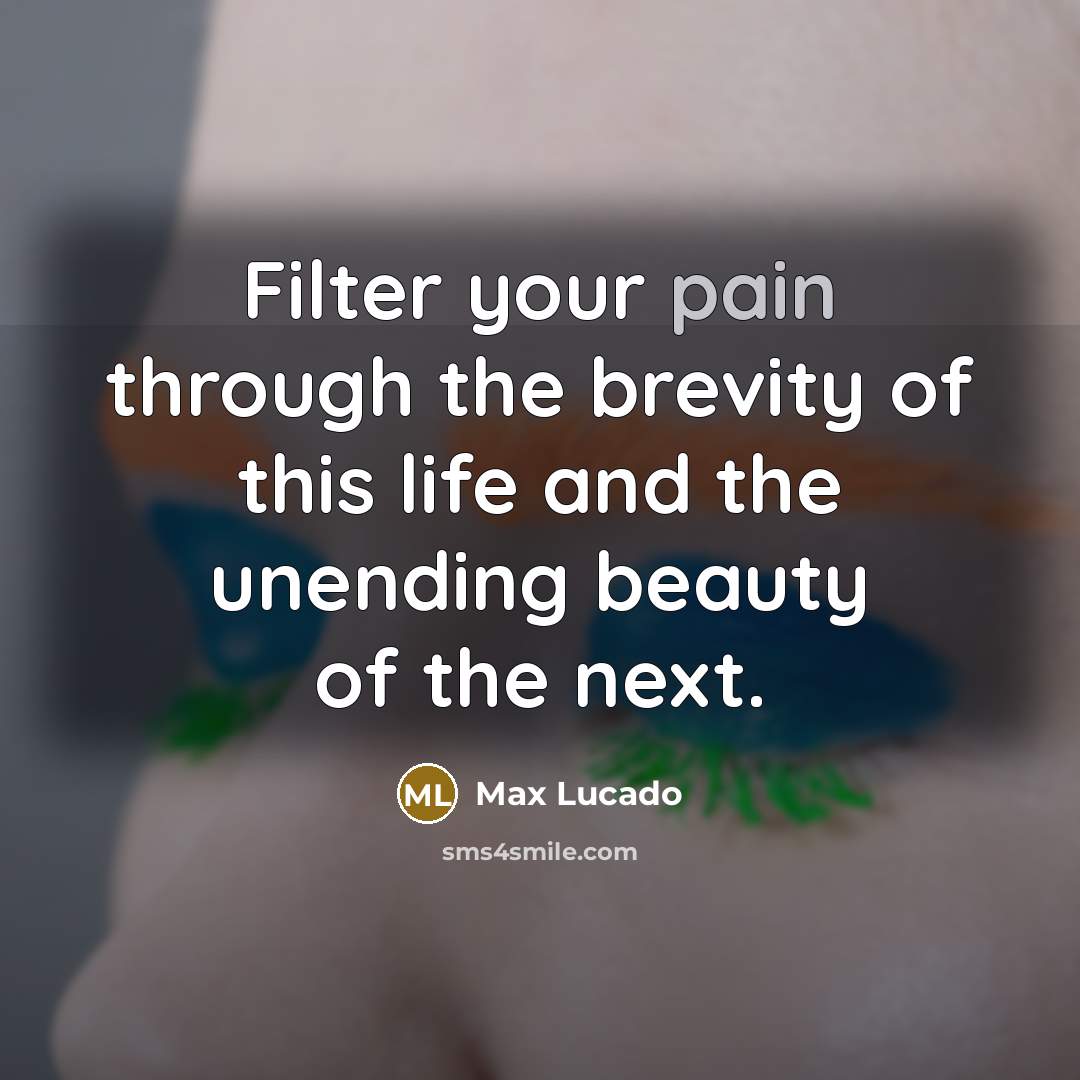 “Filter your pain through the brevity of this life and…” quote by Max Lucado