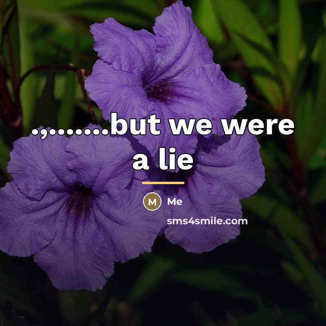 “.,.......but we were a lie…” quote by Me