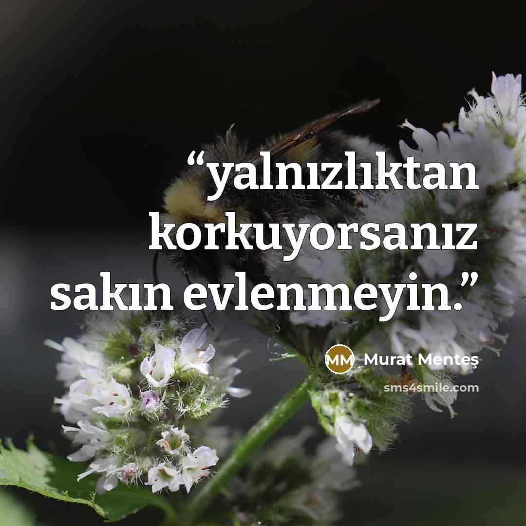 “yalnızlıktan korkuyorsanız sakın evlenmeyin.” quote by Murat Menteş