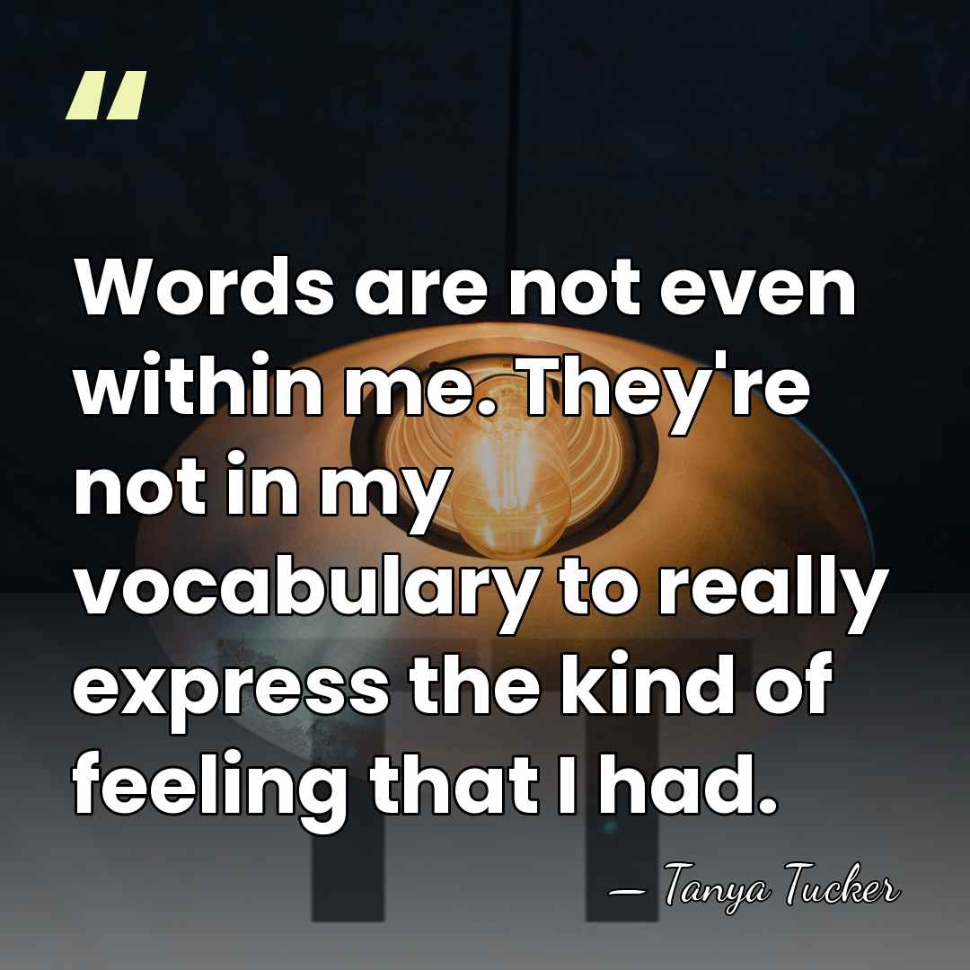 Words are not even within me. They're not in my vocabulary to&hellip; - Tanya Tucker