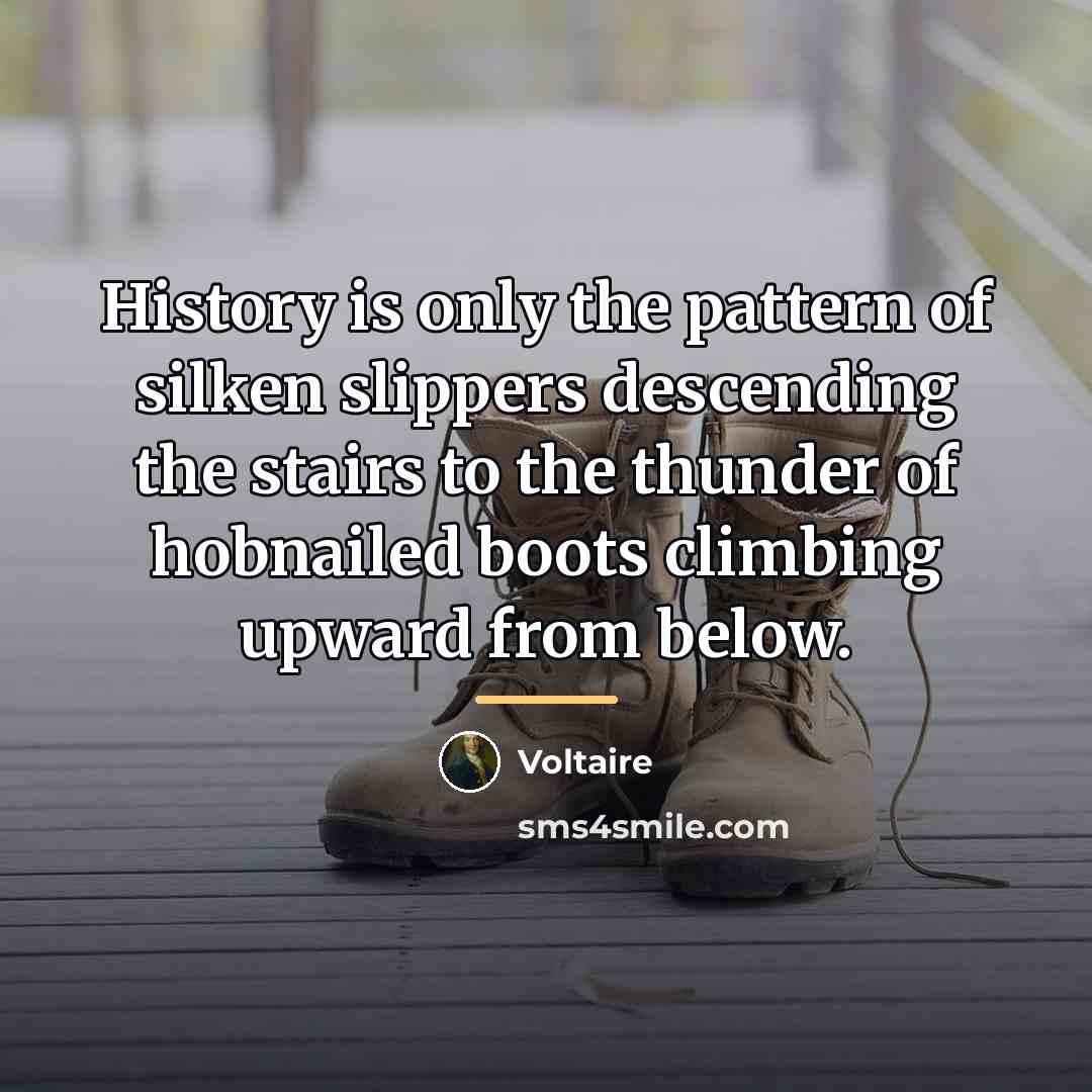 “History is only the pattern of silken slippers descending the…” quote by Voltaire