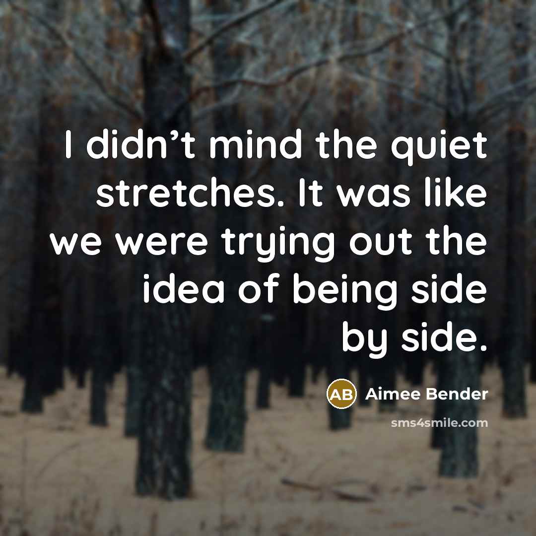 “I didn’t mind the quiet stretches. It was like we…” quote by Aimee Bender