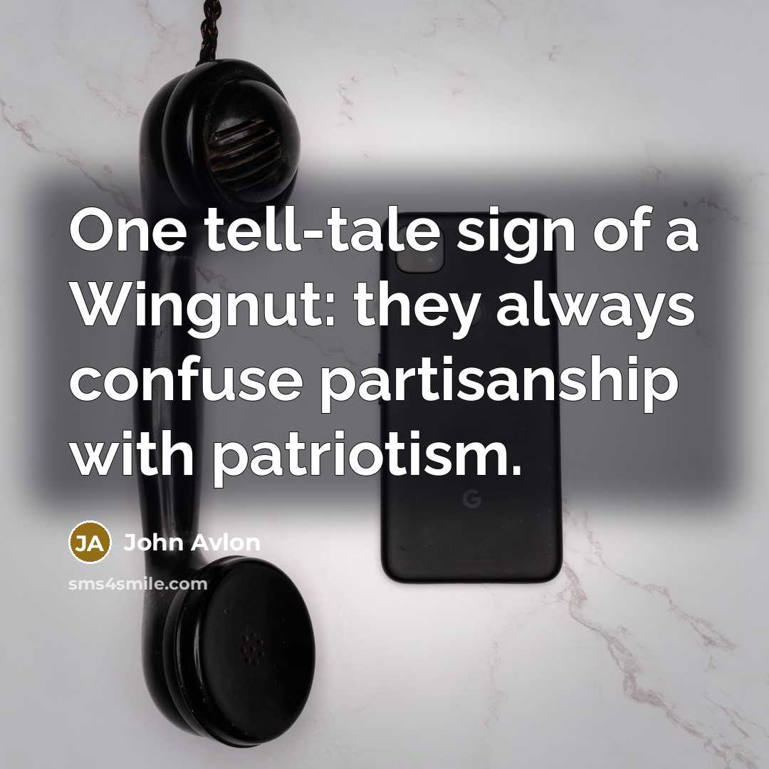 “One tell-tale sign of a Wingnut: they always confuse partisanship…” quote by John Avlon