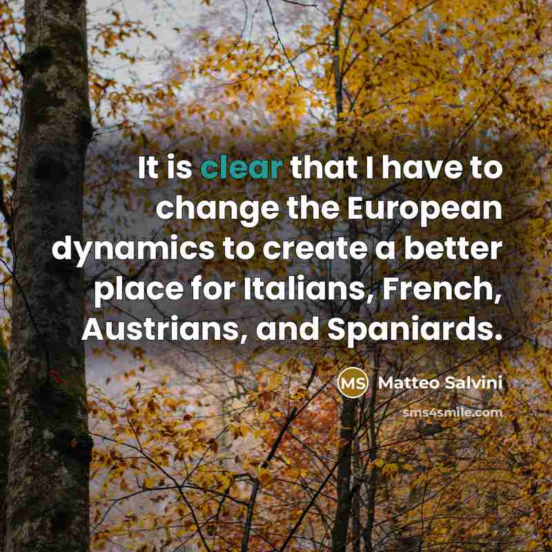 “It is clear that I have to change the European…” quote by Matteo Salvini