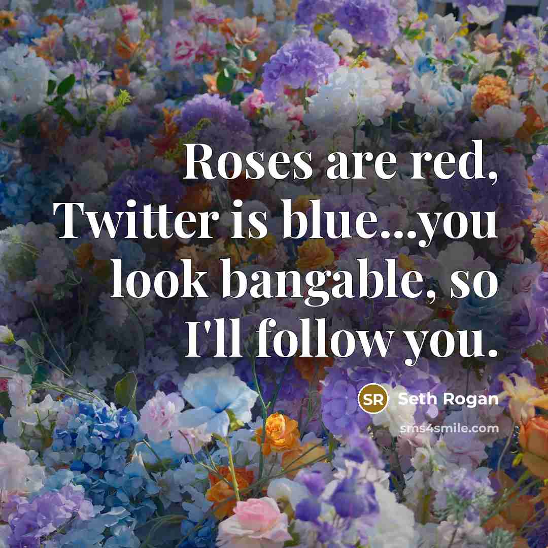 “Roses are red, Twitter is blue...you look bangable, so I'll…” quote by Seth Rogan