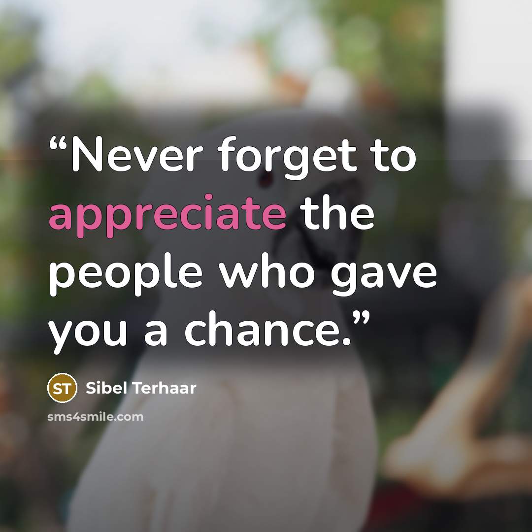 “Never forget to appreciate the people who gave you a chance.” quote by Sibel Terhaar