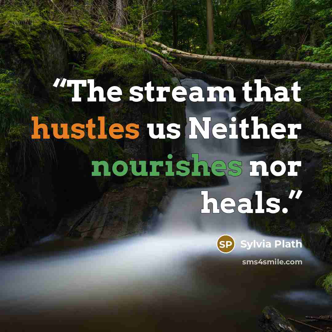 “The stream that hustles us Neither nourishes nor heals.” quote by Sylvia Plath