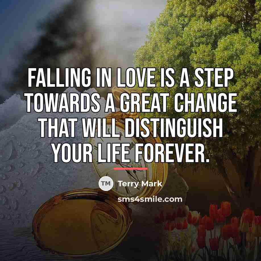 “Falling in Love is a step towards a great change…” quote by Terry Mark