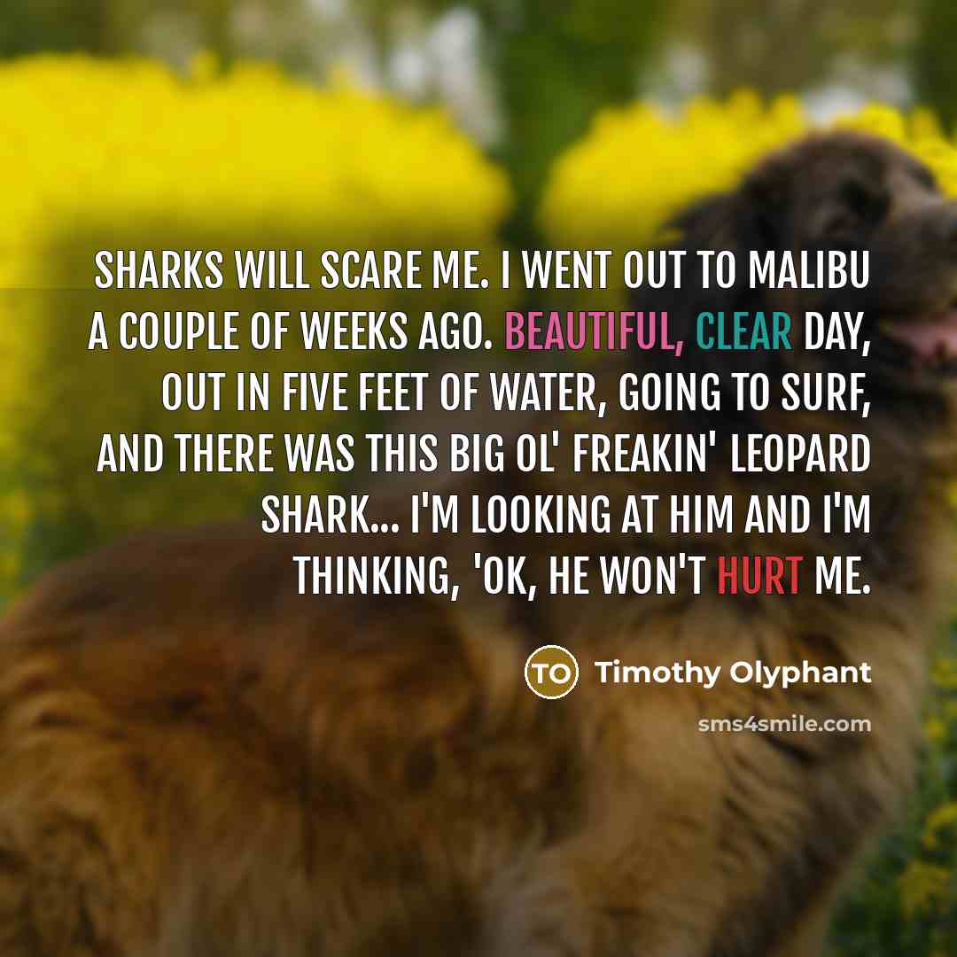 “Sharks will scare me. I went out to Malibu a…” quote by Timothy Olyphant