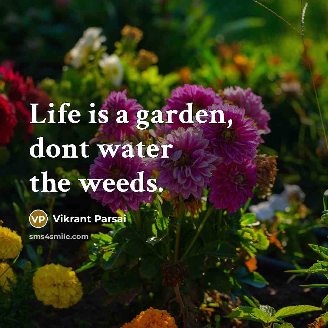 “Life is a garden, dont water the weeds.…” quote by Vikrant Parsai