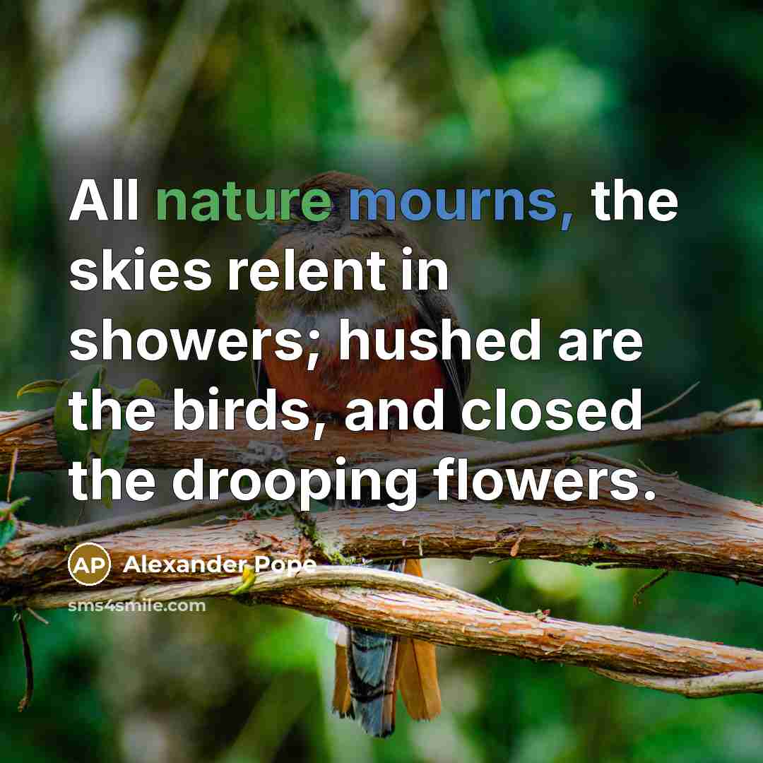 “All nature mourns, the skies relent in showers; hushed are…” quote by Alexander Pope