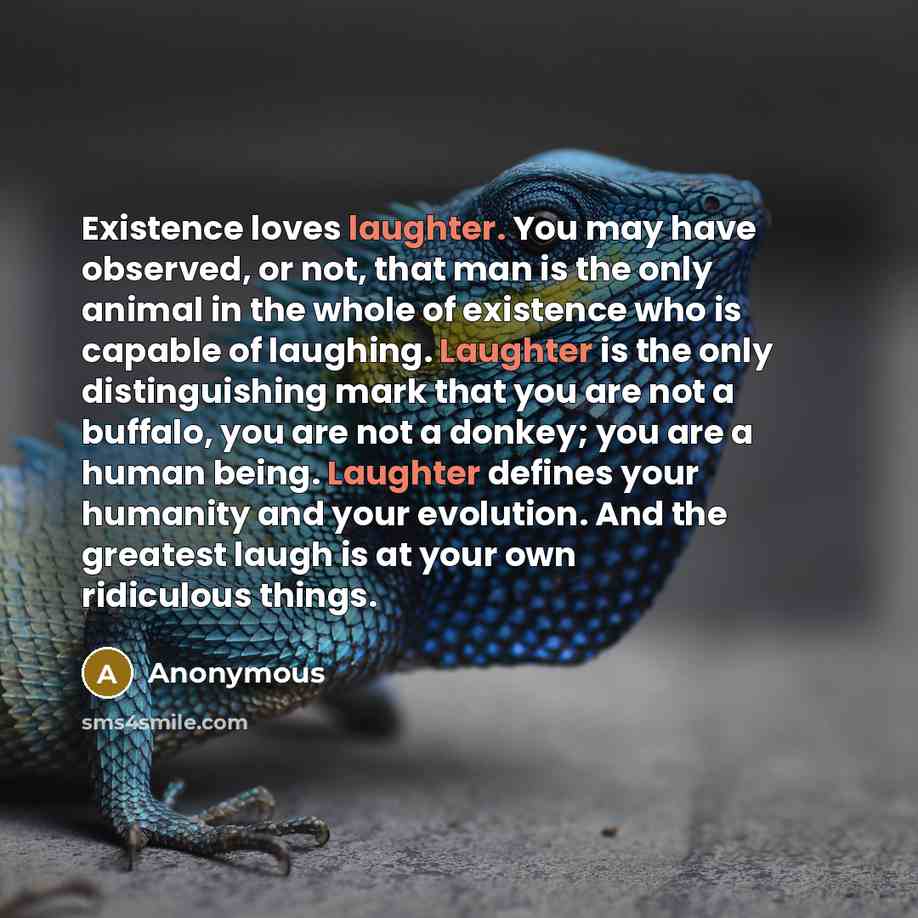 “Existence loves laughter. You may have observed, or not, that…” quote by Anonymous