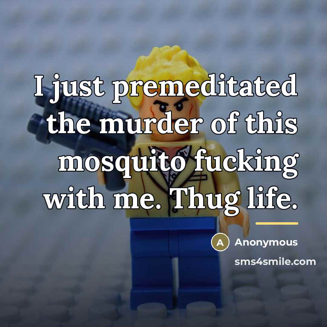 “I just premeditated the murder of this mosquito fucking with…” quote by Anonymous