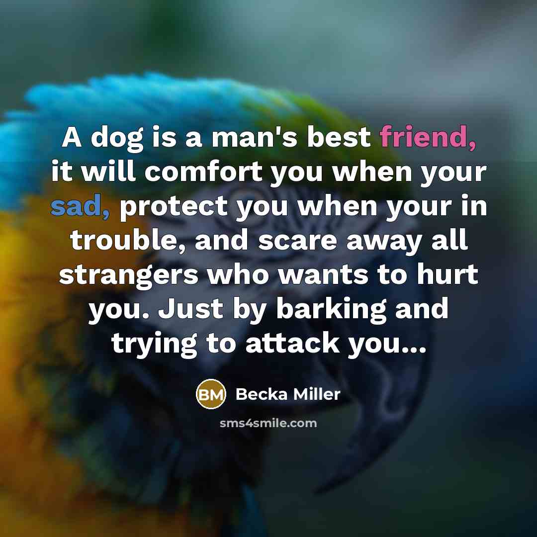 “A dog is a man's best friend, it will comfort…” quote by Becka Miller
