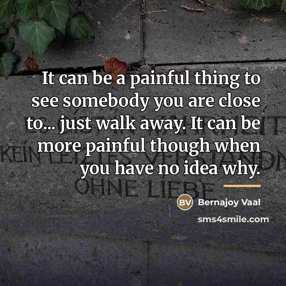 “It can be a painful thing to see somebody you…” quote by Bernajoy Vaal