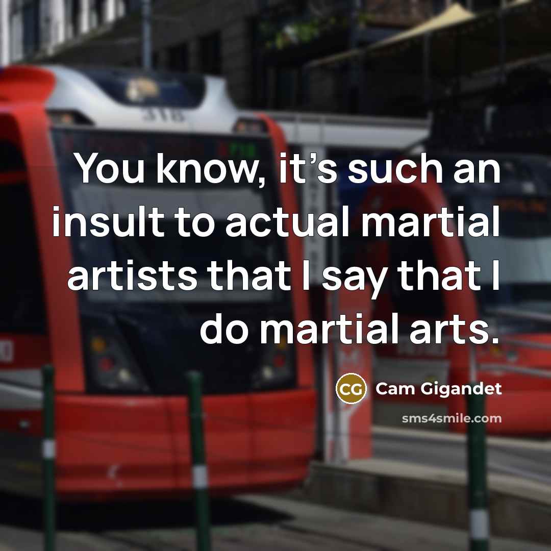 “You know, it's such an insult to actual martial artists…” quote by Cam Gigandet