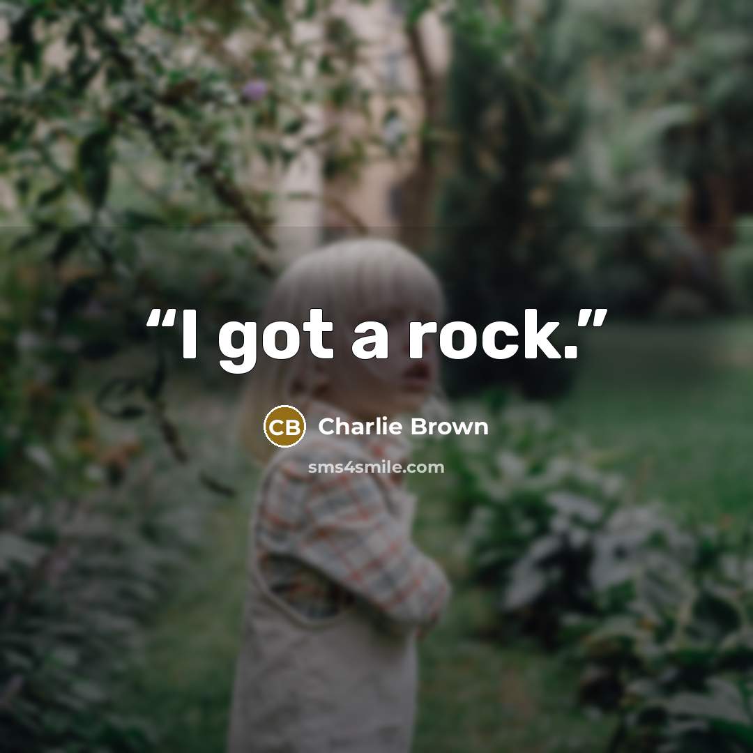 “I got a rock.” quote by Charlie Brown