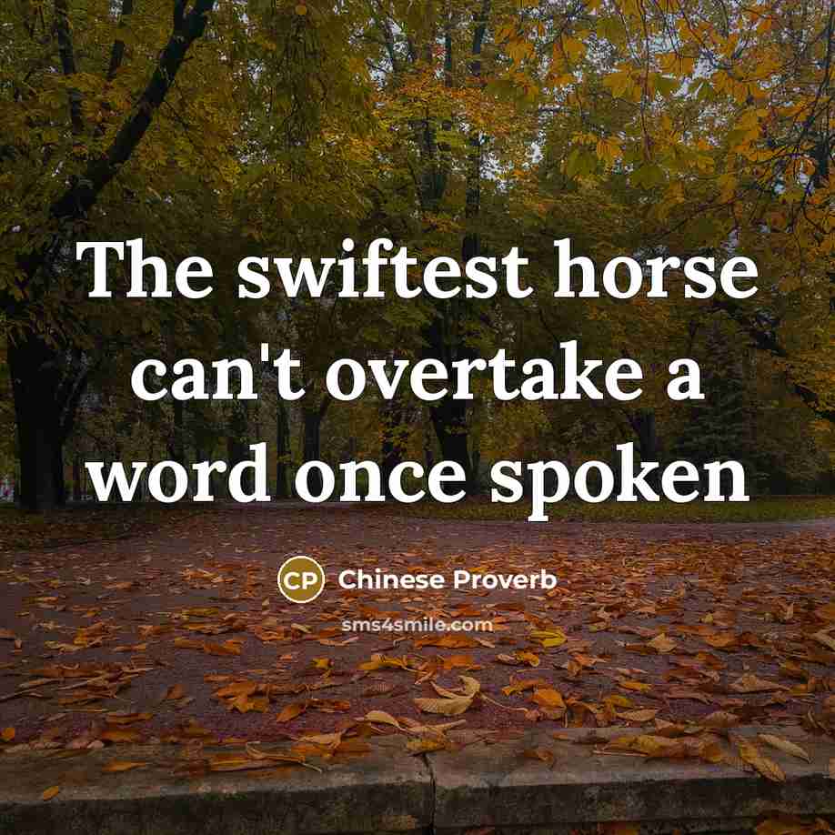 “The swiftest horse can't overtake a word once spoken…” quote by Chinese Proverb