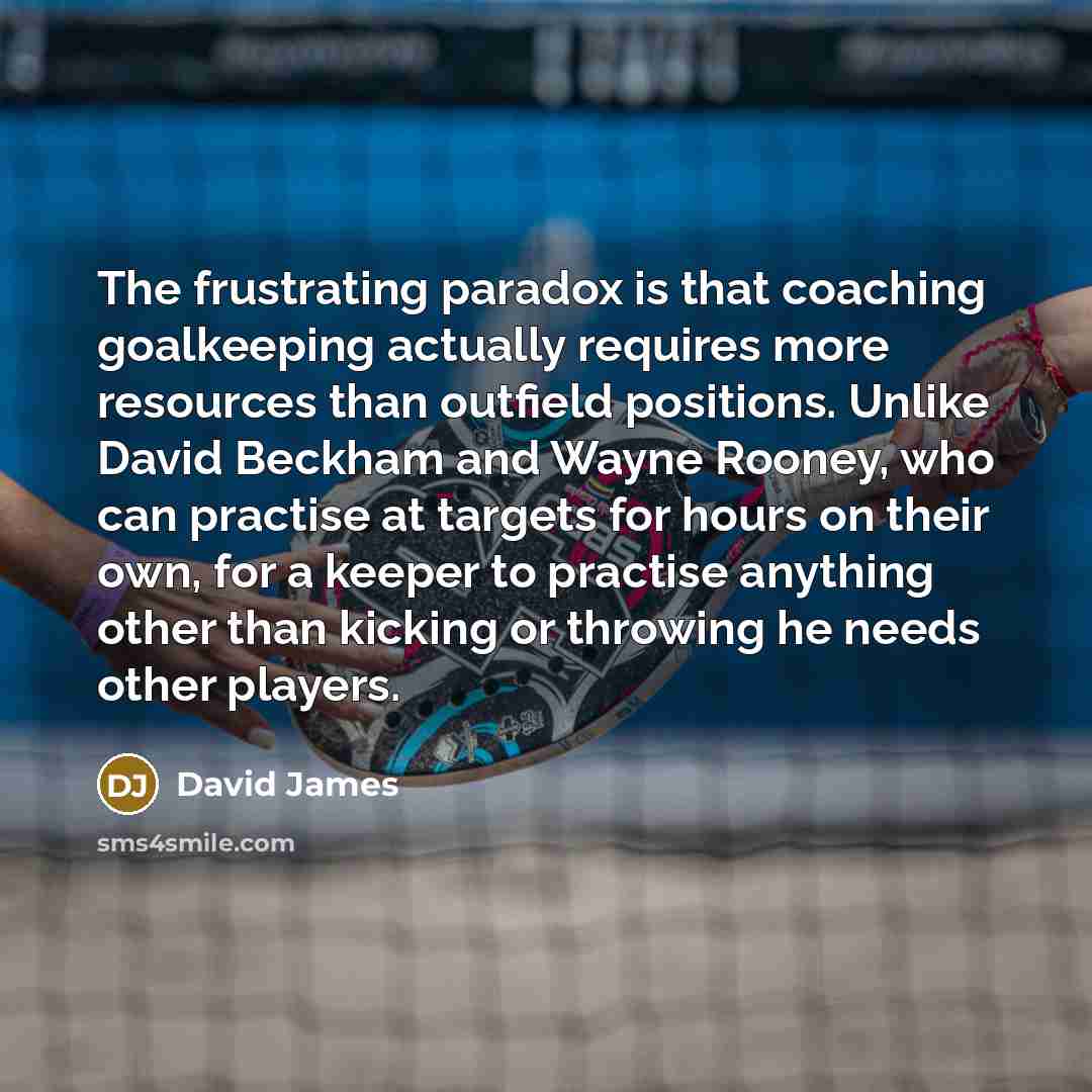 “The frustrating paradox is that coaching goalkeeping actually requires more…” quote by David James