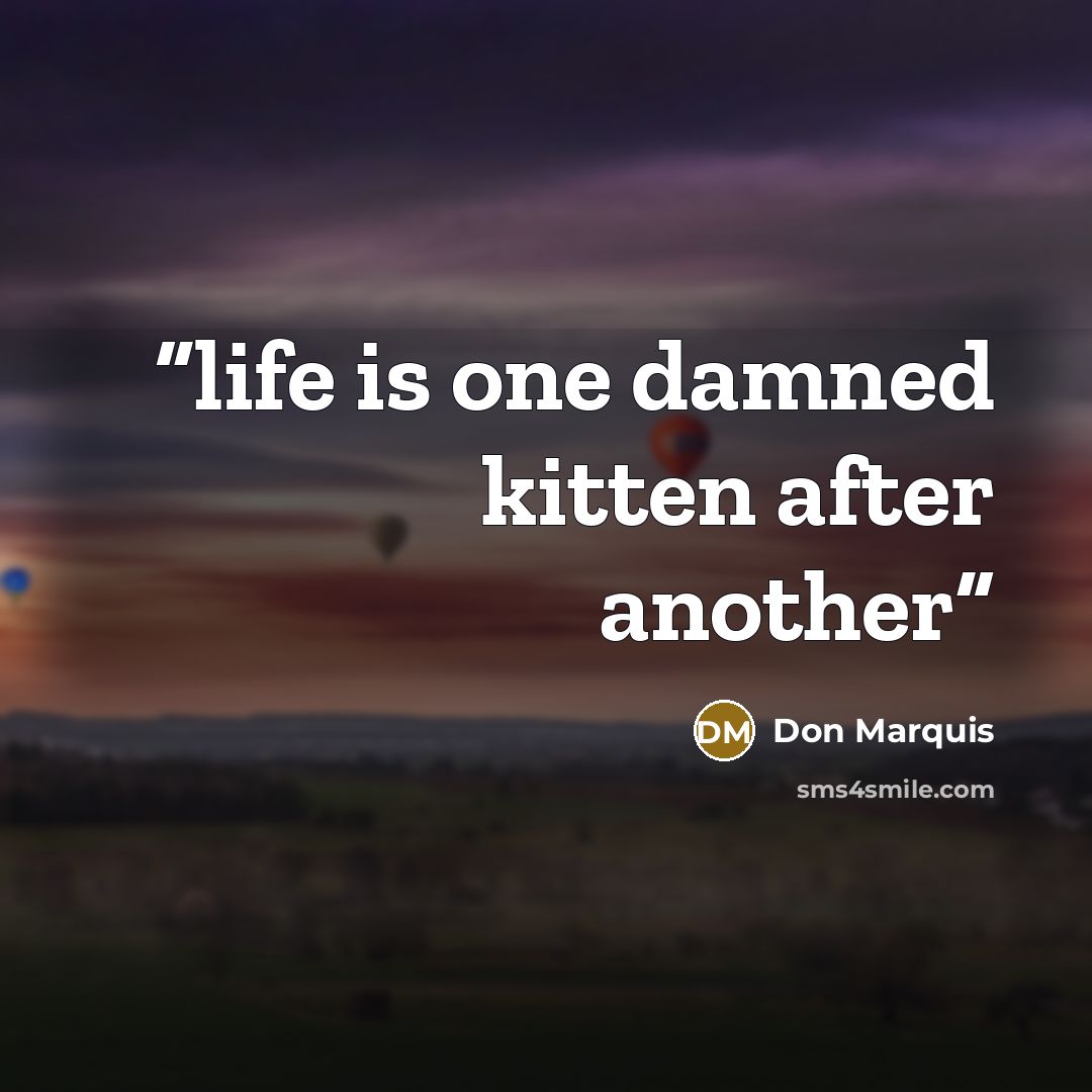 “life is one damned kitten after another” quote by Don Marquis