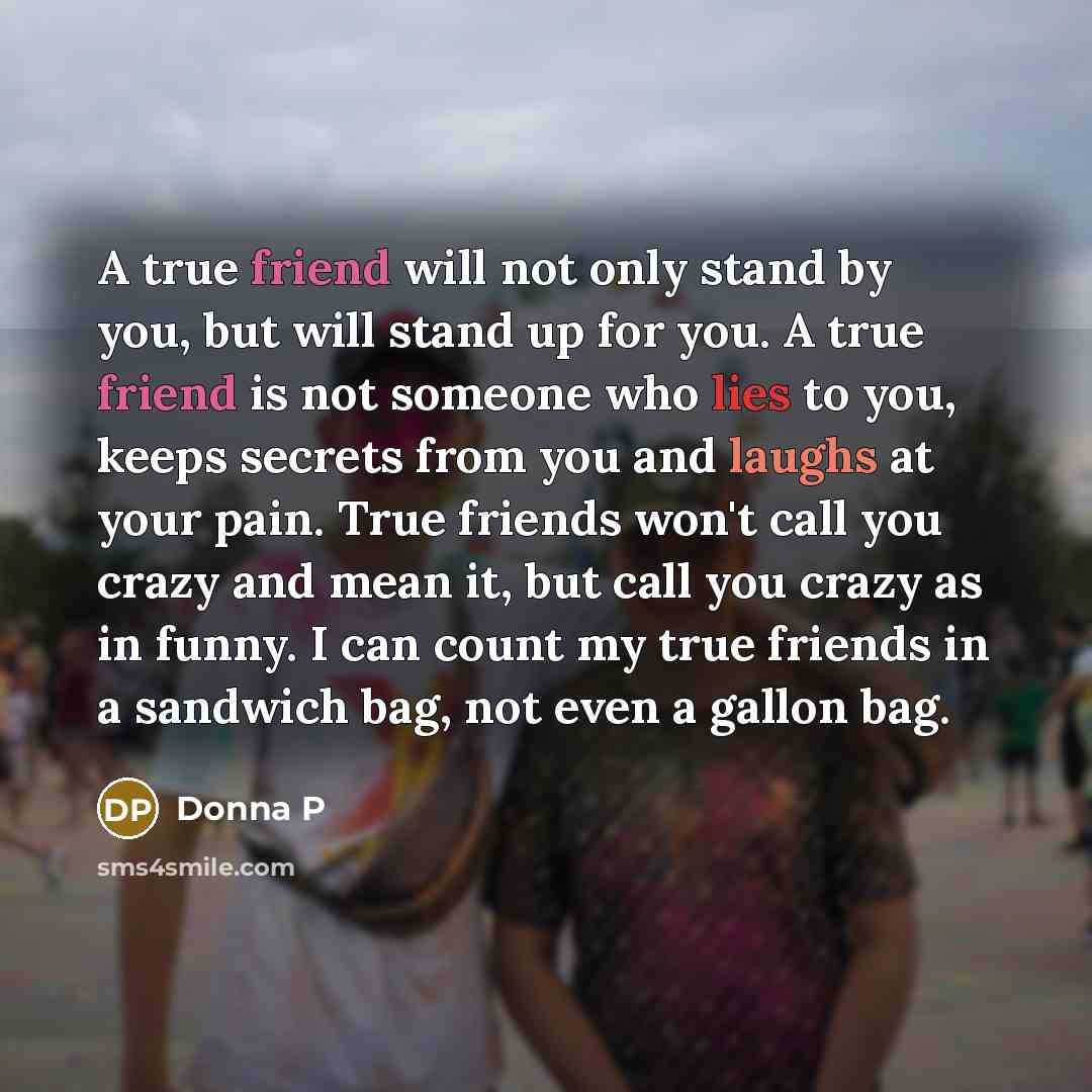 “A true friend will not only stand by you, but will stand up for you. A true friend is not someone who lies to you, keeps secrets from you and laughs at your pain. True friends won't call you crazy and mean it, but call you crazy as in funny. I can count my true friends in a sandwich bag, not even…” quote by Donna P