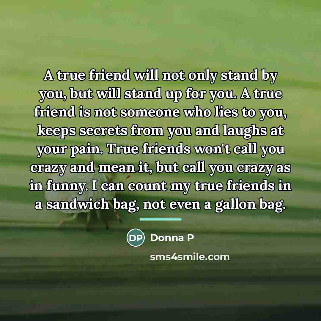 “A true friend will not only stand by you, but…” quote by Donna P