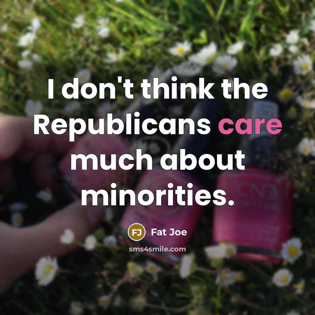 “I don't think the Republicans care much about minorities.…” quote by Fat Joe