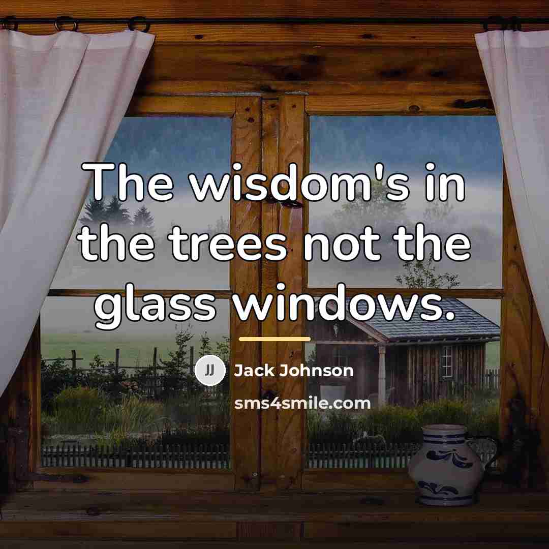 “The wisdom's in the trees not the glass windows.…” quote by Jack Johnson