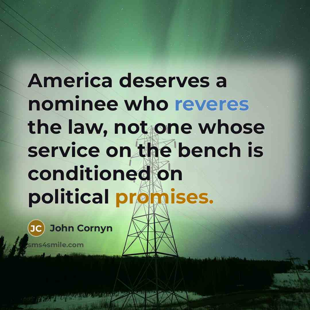“America deserves a nominee who reveres the law, not one…” quote by John Cornyn