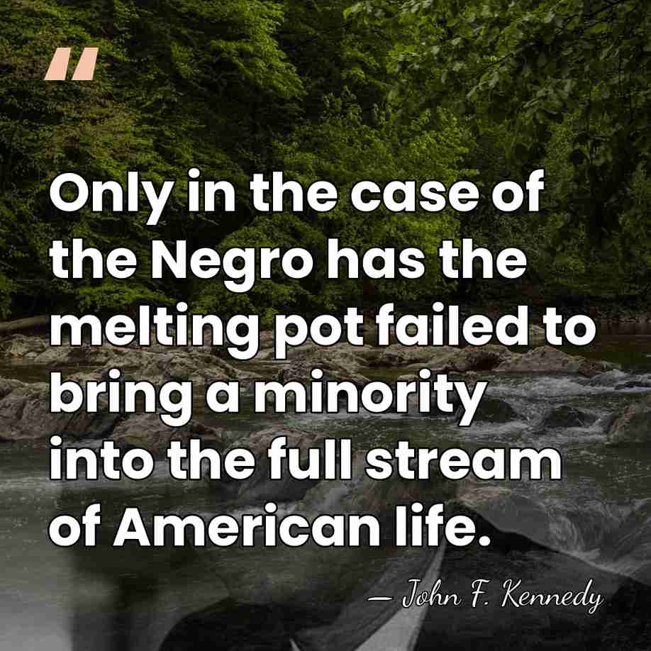 Only in the case of the Negro has the melting pot failed&hellip; - John F. Kennedy