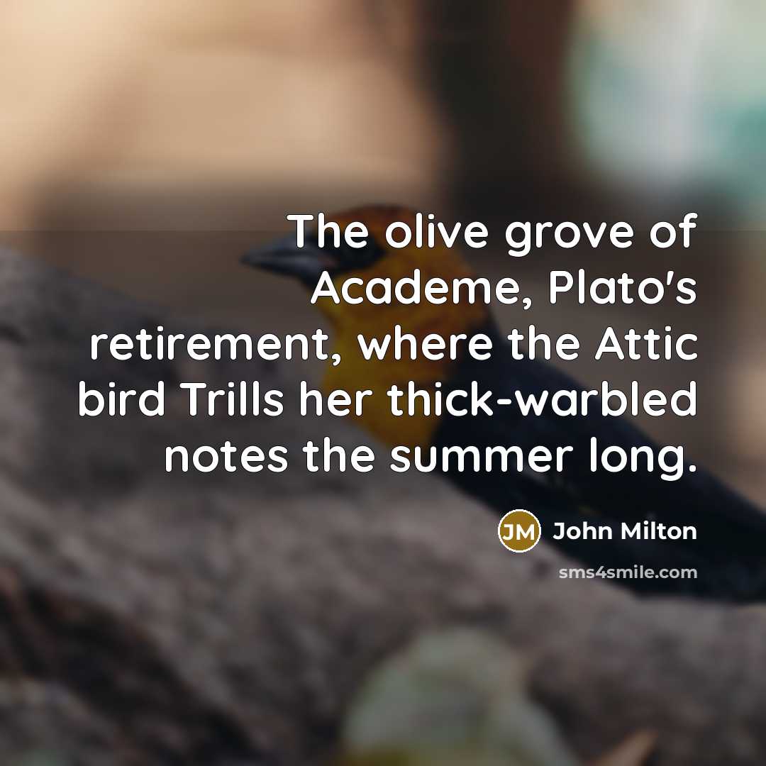 “The olive grove of Academe, Plato's retirement, where the Attic…” quote by John Milton
