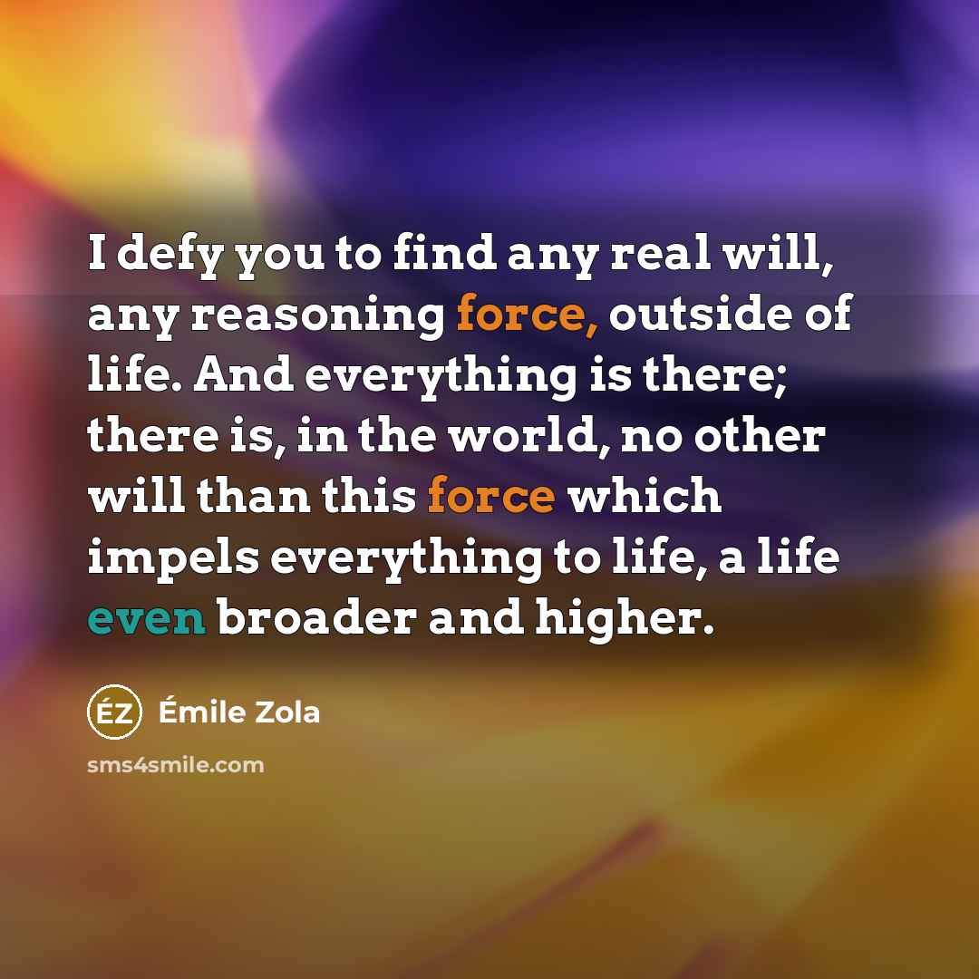 “I defy you to find any real will, any reasoning…” quote by Emile Zola