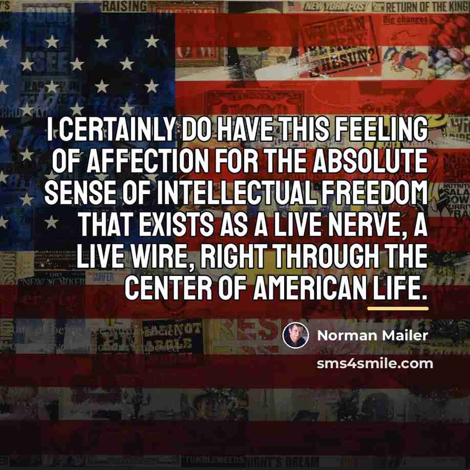 “I certainly do have this feeling of affection for the…” quote by Norman Mailer