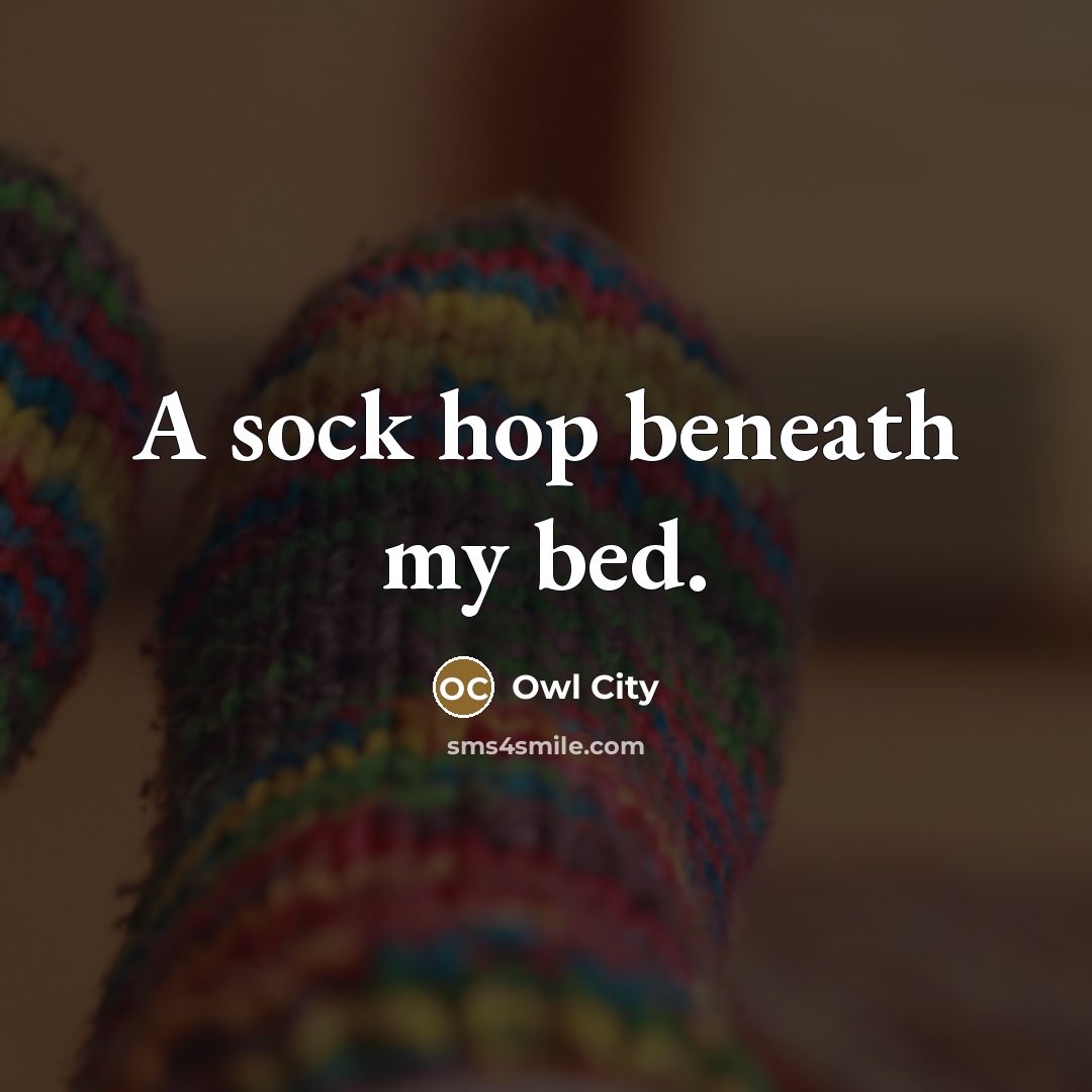 “A sock hop beneath my bed.…” quote by Owl City