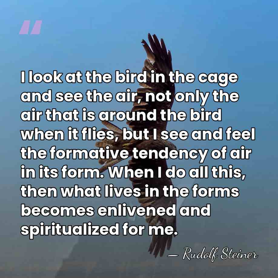 I look at the bird in the cage and see the air,&hellip; - Rudolf Steiner