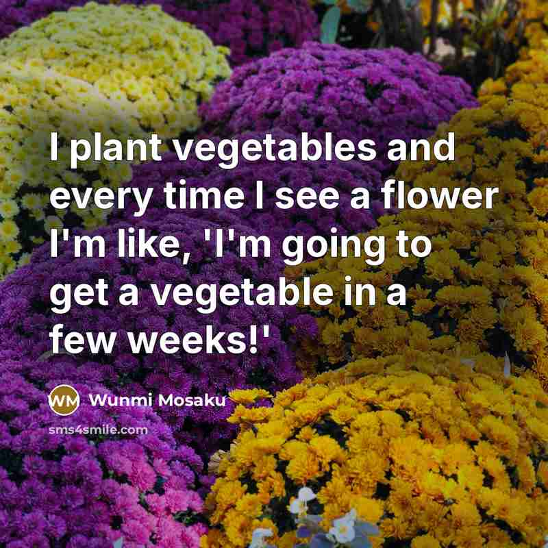 “I plant vegetables and every time I see a flower…” quote by Wunmi Mosaku