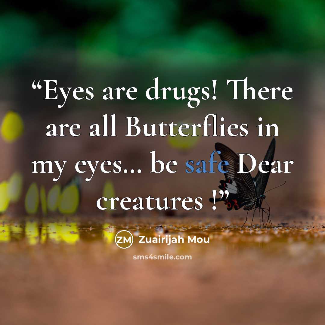 “Eyes are drugs! There are all Butterflies in my eyes… be safe Dear creatures !” quote by Zuairijah Mou