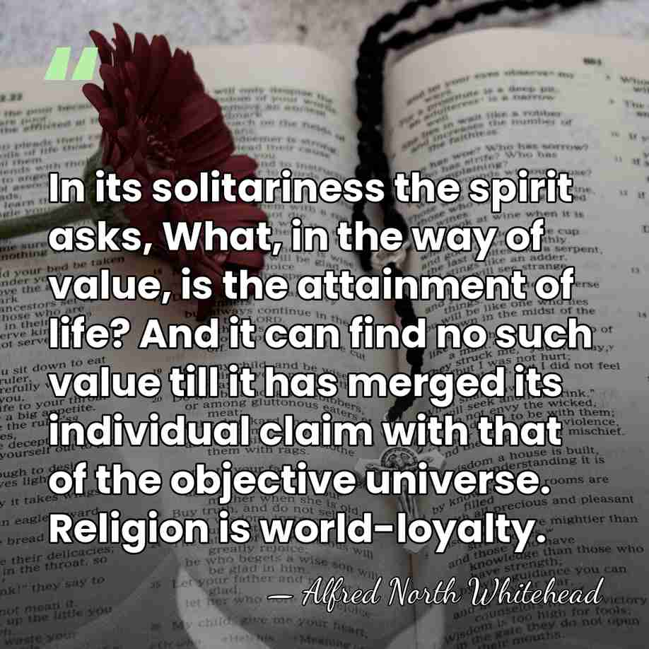 In its solitariness the spirit asks, What, in the way of value,&hellip; - Alfred North Whitehead