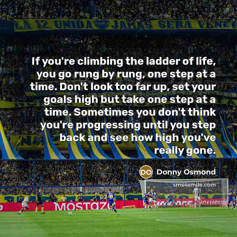“If you're climbing the ladder of life, you go rung…” quote by Donny Osmond