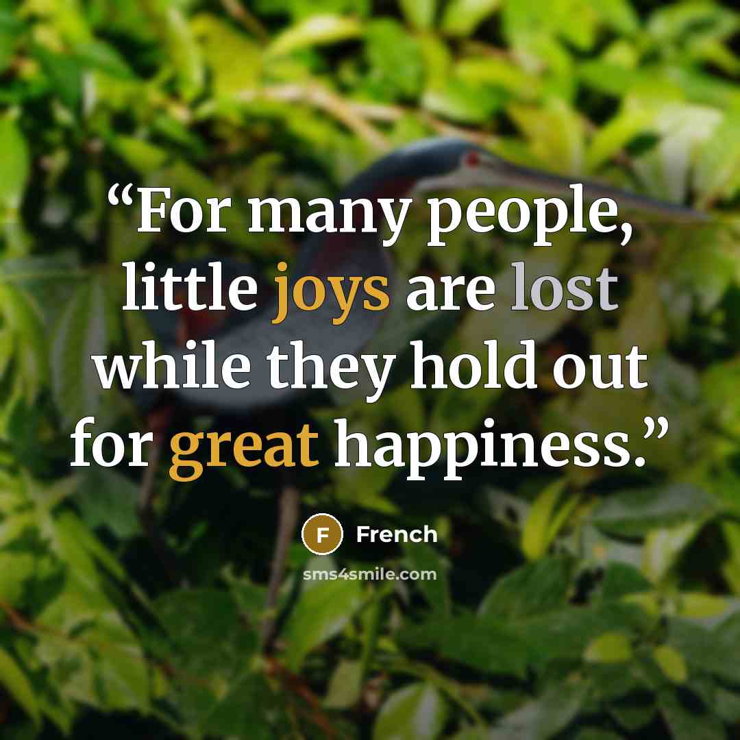 “For many people, little joys are lost while they hold out for great happiness.” quote by French