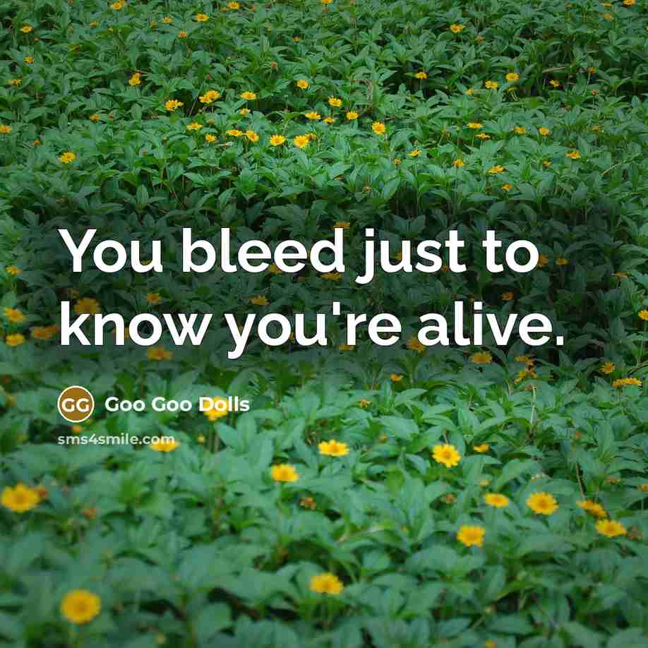 “You bleed just to know you're alive.…” quote by Goo Goo Dolls