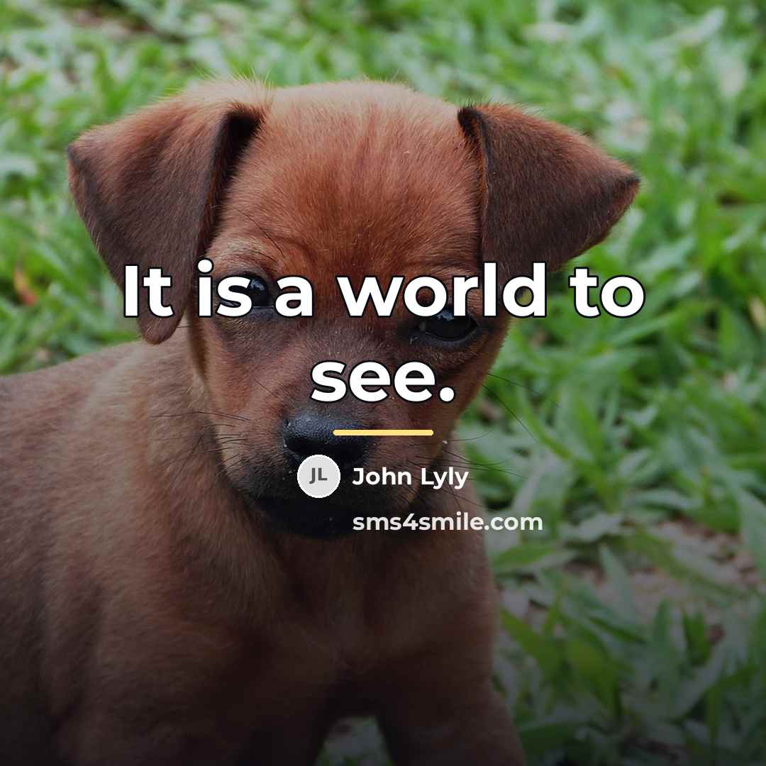 “It is a world to see.…” quote by John Lyly