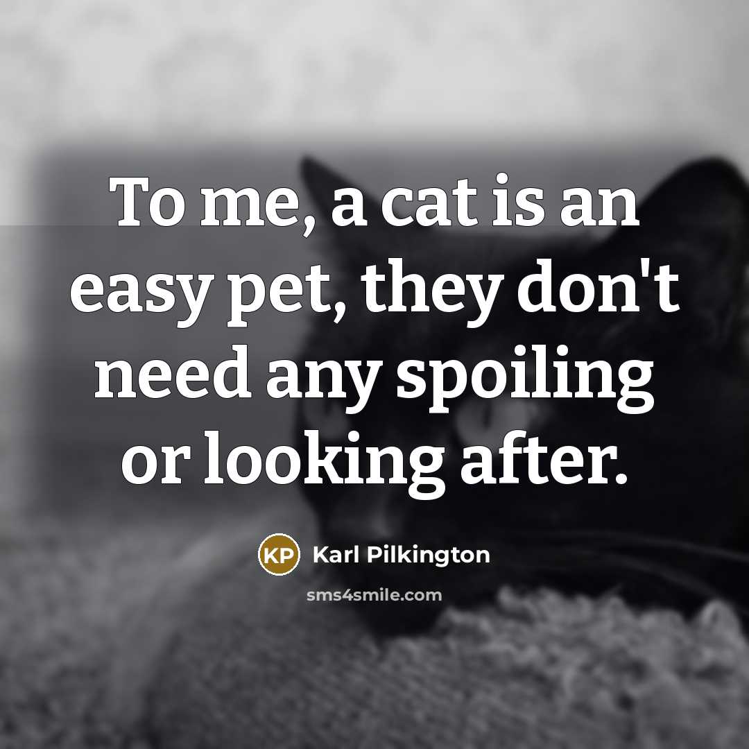 “To me, a cat is an easy pet, they don't…” quote by Karl Pilkington