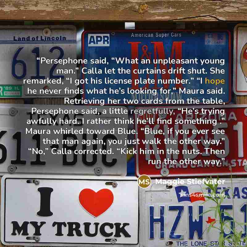 “Persephone said, “What an unpleasant young man.” Calla let the curtains drift shut. She remarked, “I got his license plate number.” “I hope he never finds what he’s looking for,” Maura said. Retrieving her two cards from the table, Persephone said, a little regretfully, “He’s trying awfully hard…” quote by Maggie Stiefvater
