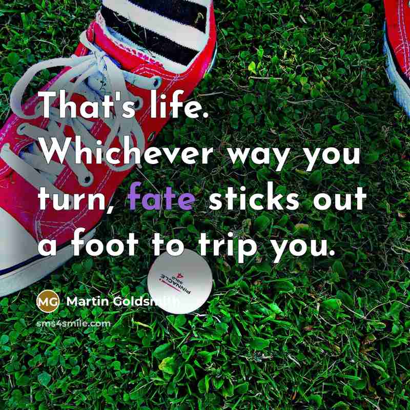 “That's life. Whichever way you turn, fate sticks out a…” quote by Martin Goldsmith