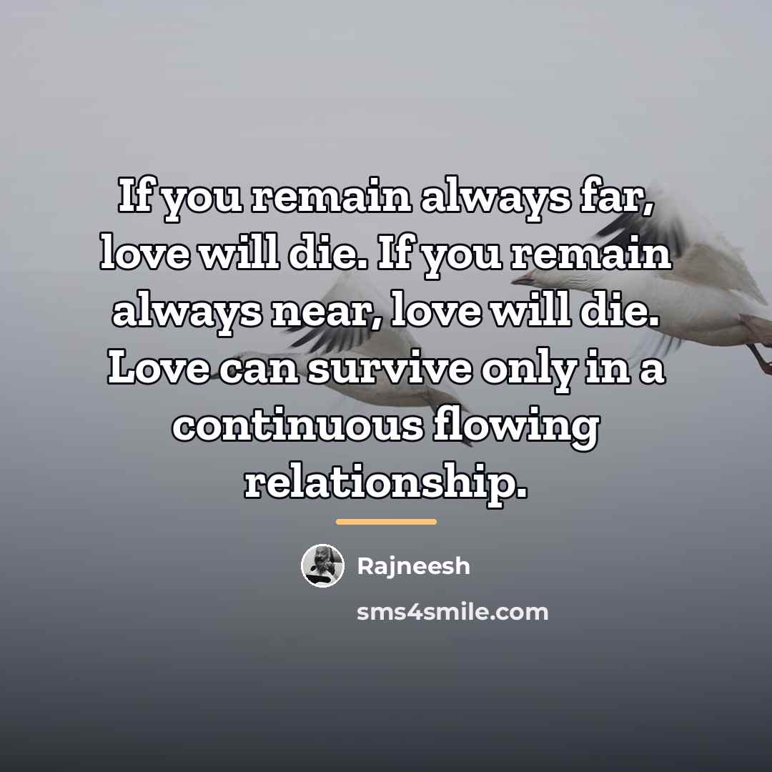 “If you remain always far, love will die. If you…” quote by Rajneesh