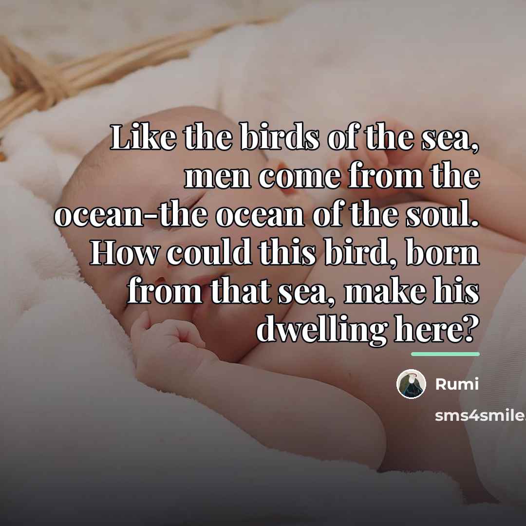 “Like the birds of the sea, men come from the…” quote by Rumi