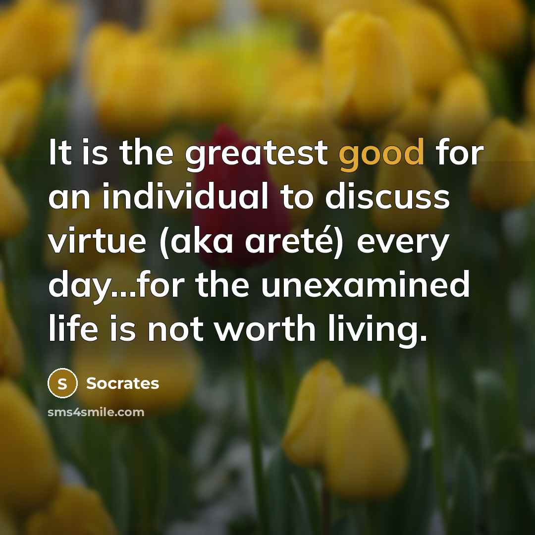 “It is the greatest good for an individual to discuss…” quote by Socrates