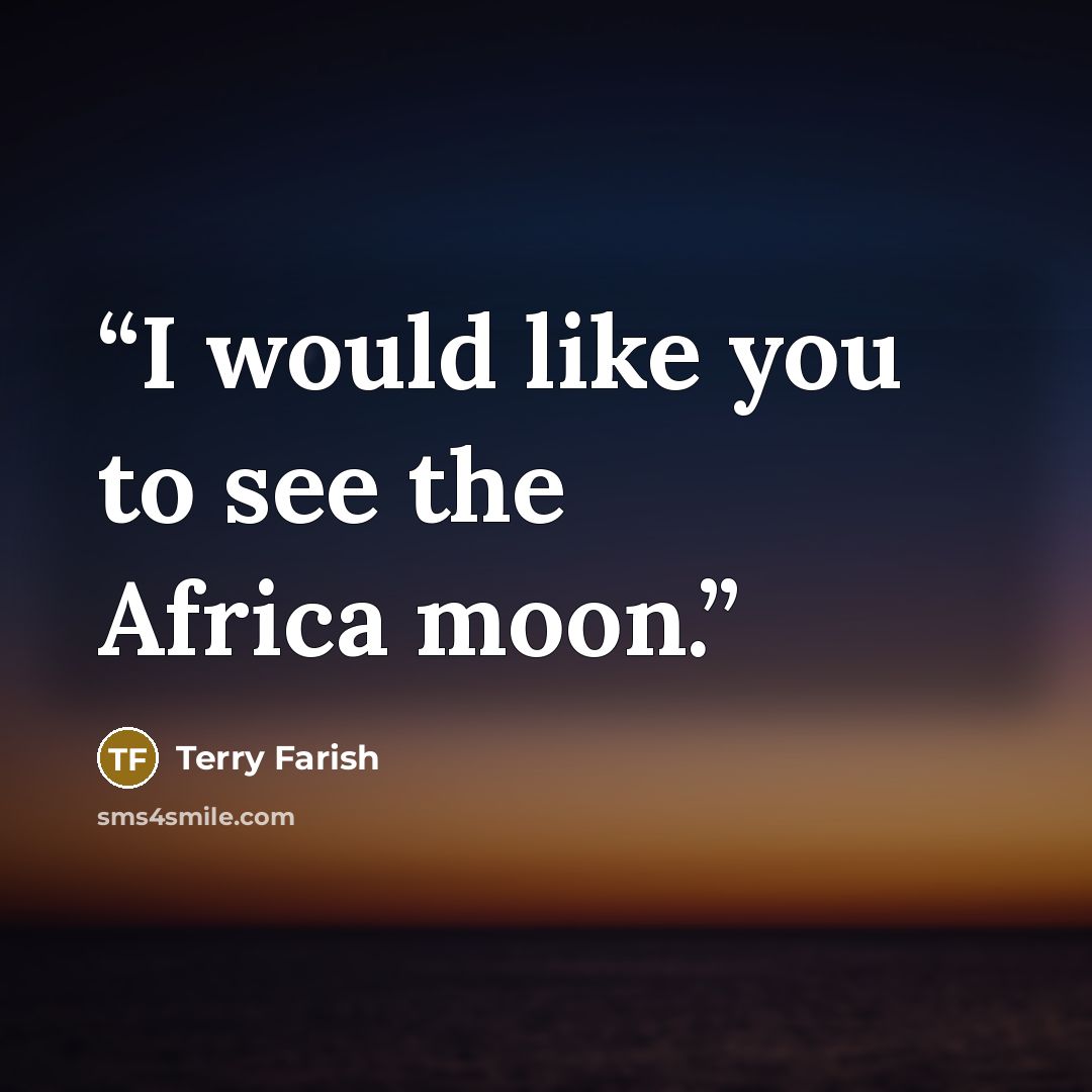 “I would like you to see the Africa moon.” quote by Terry Farish