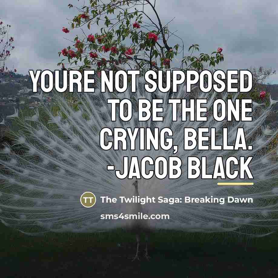 “Youre not supposed to be the one crying, Bella. -Jacob…” quote by The Twilight Saga: Breaking Dawn